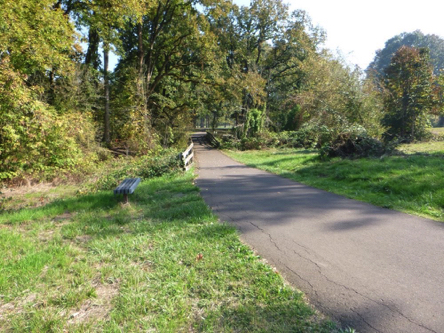 Paved bike path to Oak Grove – disc golf and campground – crack on the left side of trail – bench